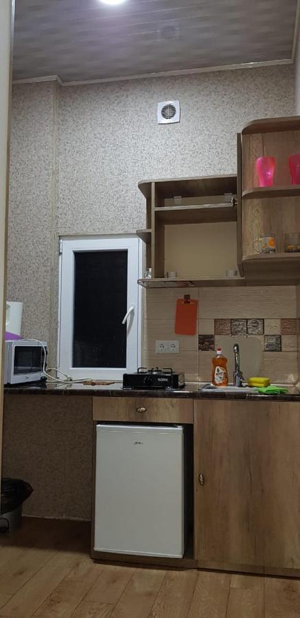 Apartment Izabella Tbilisi Esterno foto